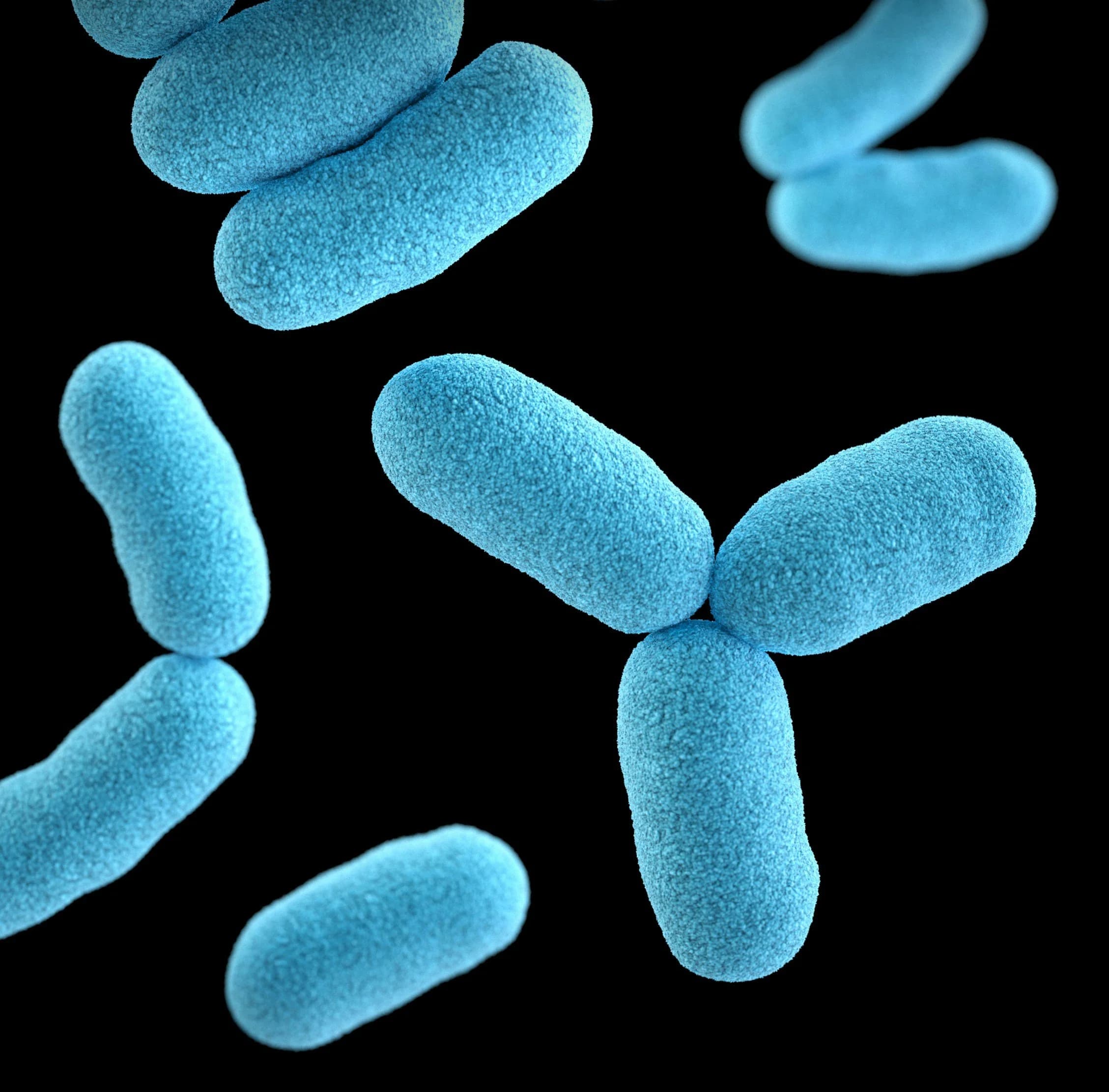 Listeria: Understanding This Bacterial Infection and Its Risks