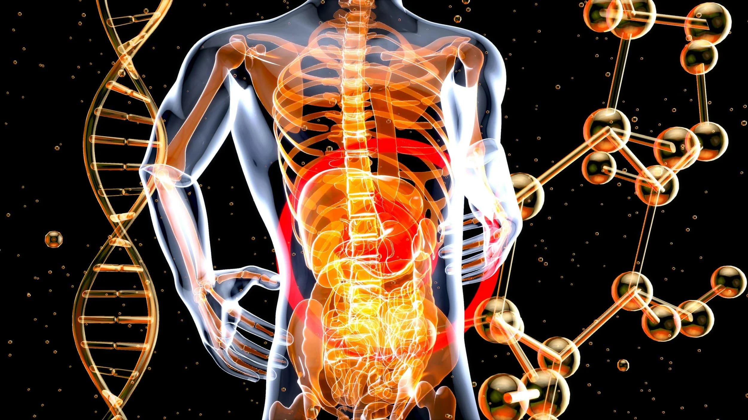 Comprendre le syndrome du côlon irritable (SCI)
