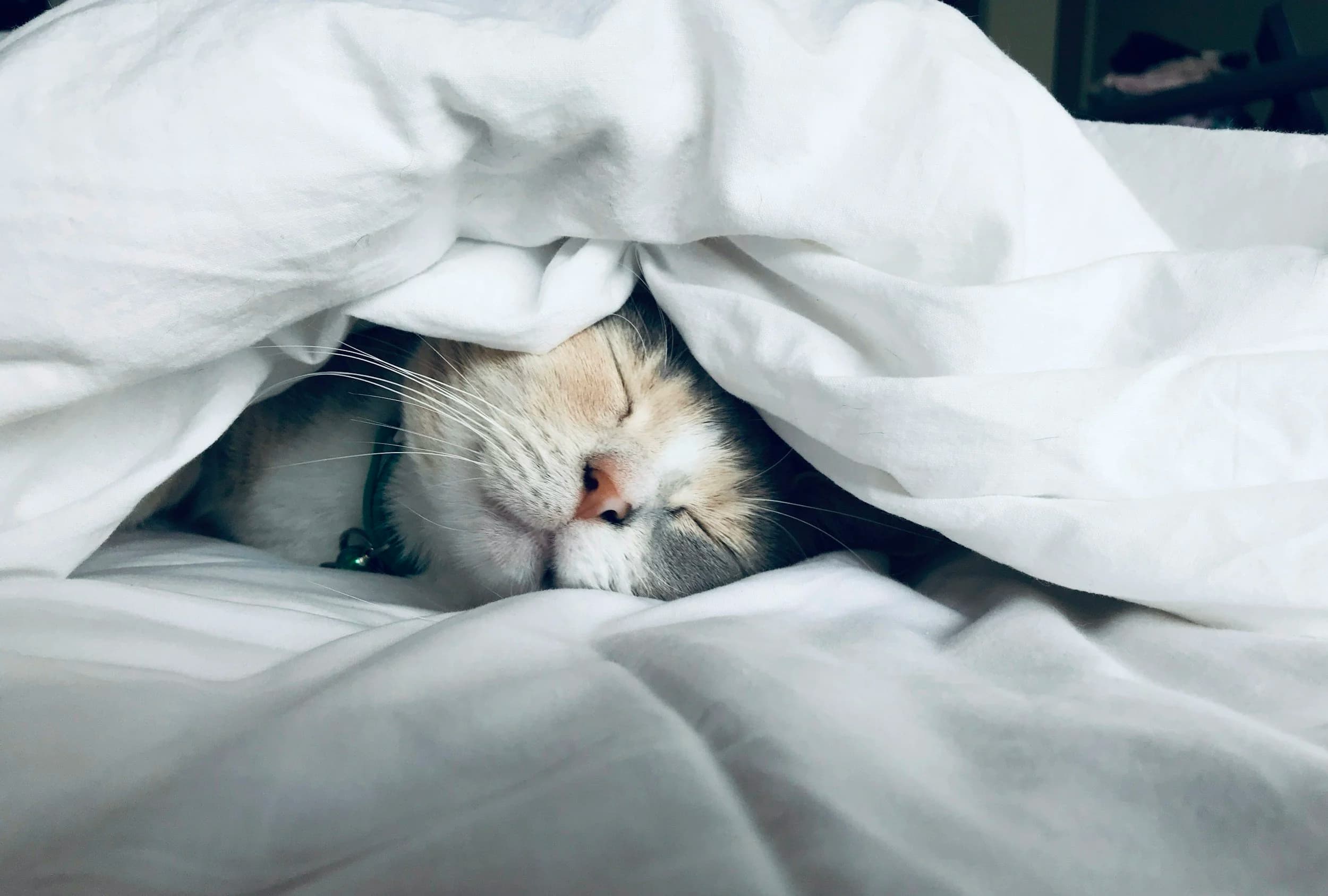 Apnée du Sommeil : Symptômes, Causes et Traitements